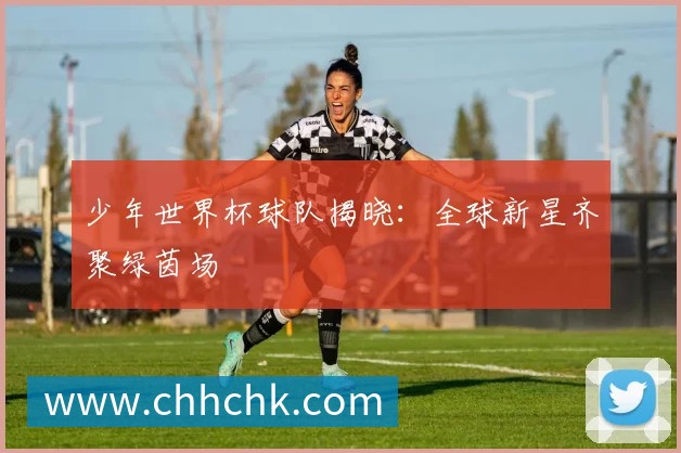 少年世界杯球队揭晓：全球新星齐聚绿茵场